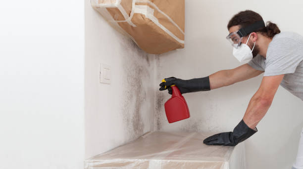 Professional Basement Mold Removal technician working in La Grange, NC