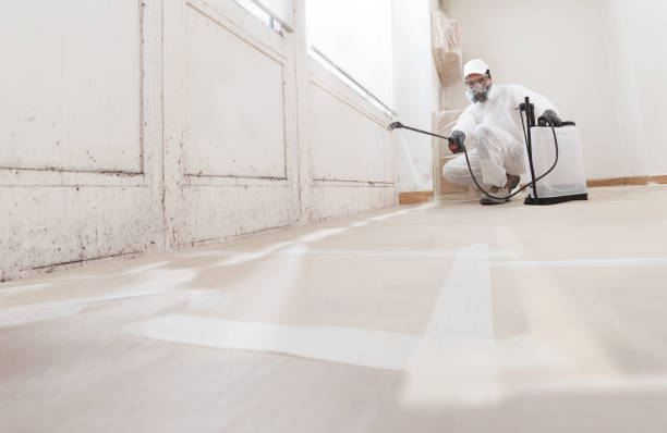 24/7 Emergency Basement Mold Removal experts in La Grange, NC